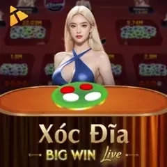 VK88 Xóc Đĩa BigWin